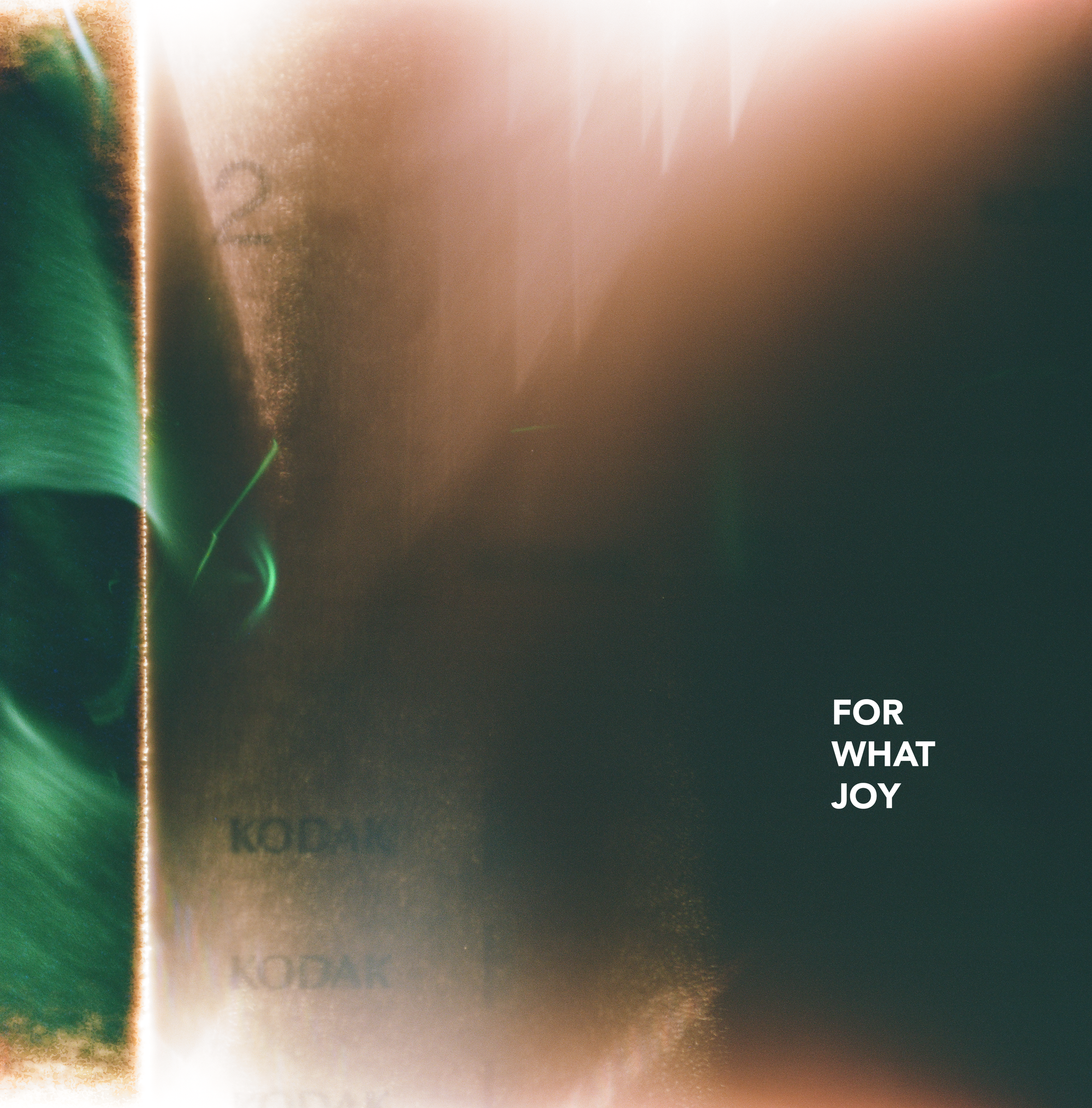 For What Joy